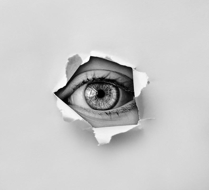 Observation_du_modèle_dart